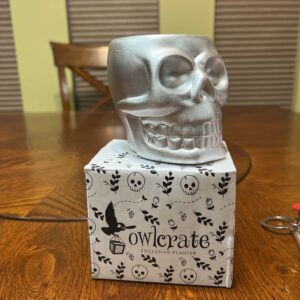 Owlcrate skull planter