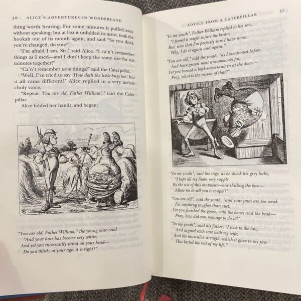Alice's Adventures in Wonderland and Other Stories (Barnes and Noble Collectible Classics: Omnibus Edition) - Image 5