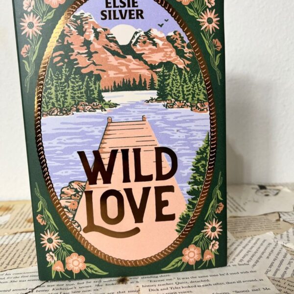 Bookish box Wild Love Elsie Silver - Image 2