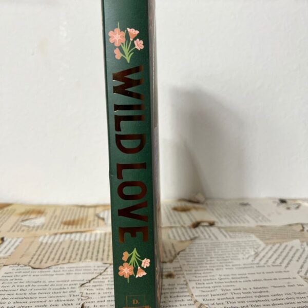 Bookish box Wild Love Elsie Silver - Image 3