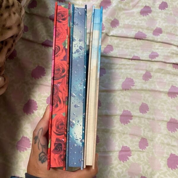 Books for days crate Heartstone series by saffron a Kent - Image 4