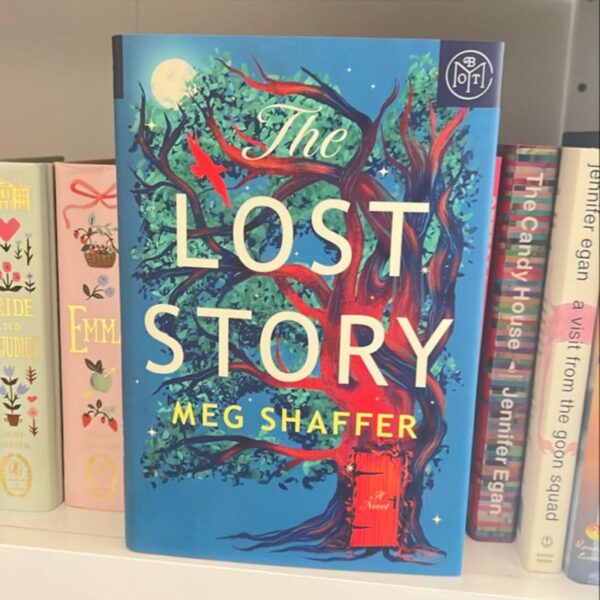 The Lost Story