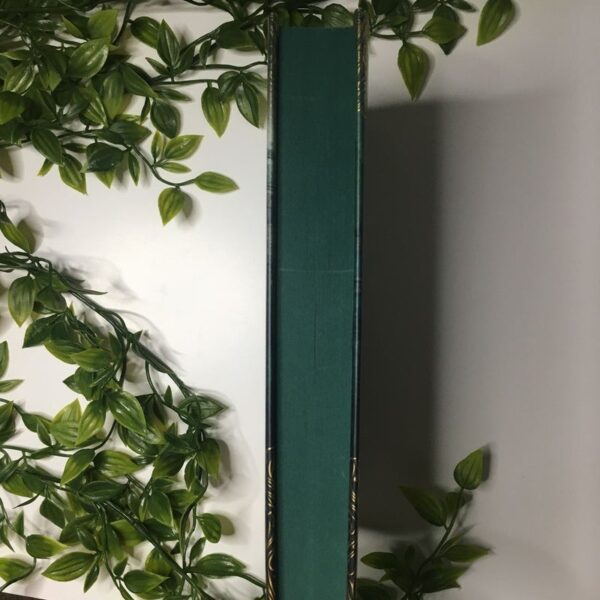 FairyLoot Exclusive One Dark Window - Image 4