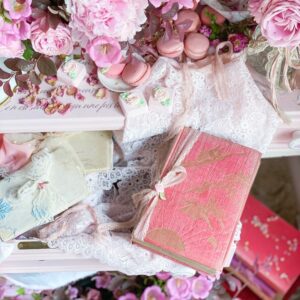 The Pink Fairy Book