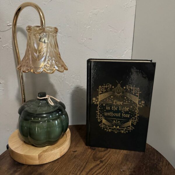 This Woven Kingdom Special Edition - Image 2